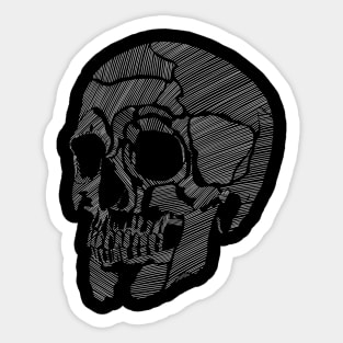 Lines of a Skull Sticker